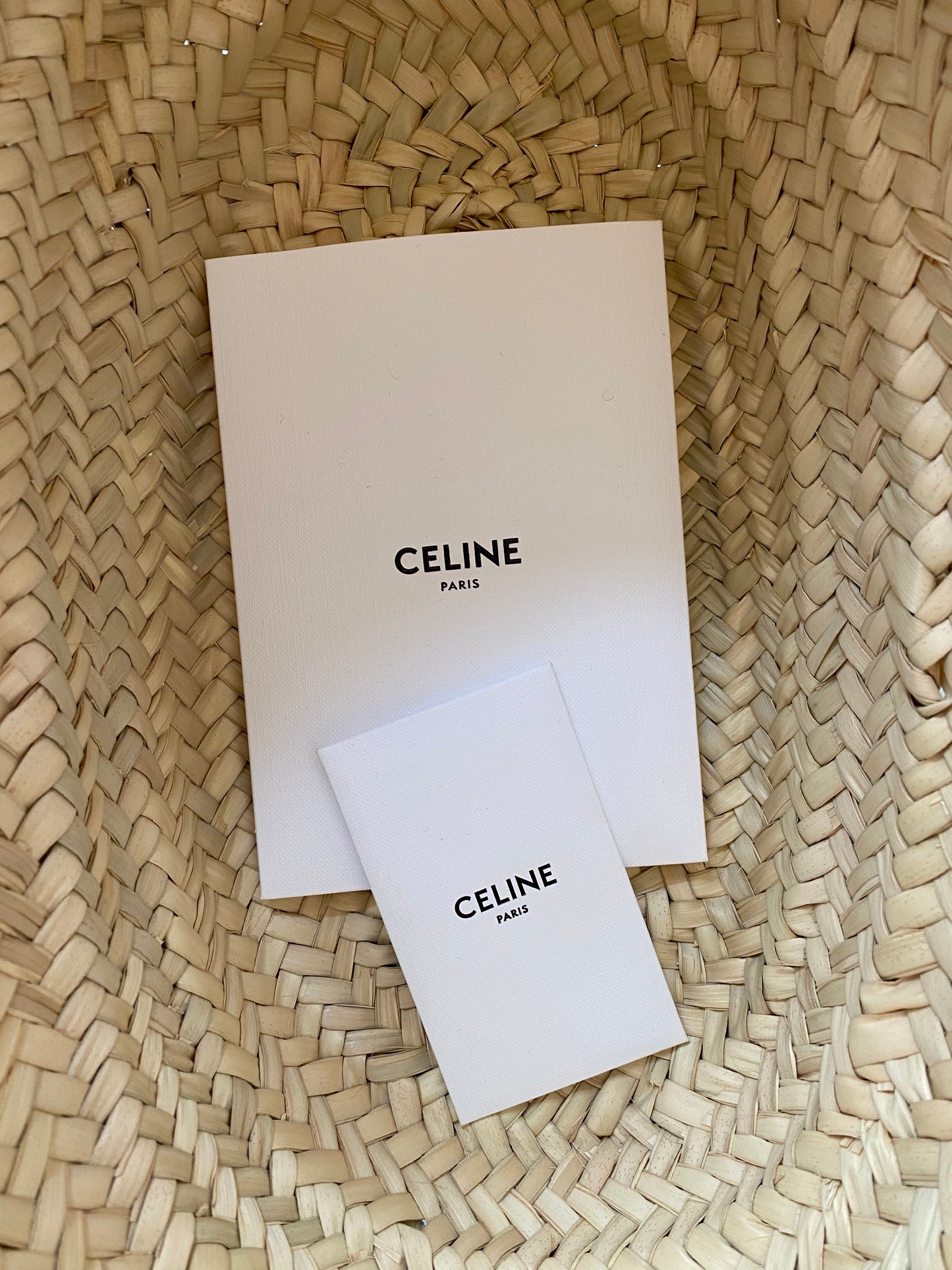 CÉLINE Medium Triomphe Classic Shoulder Bag