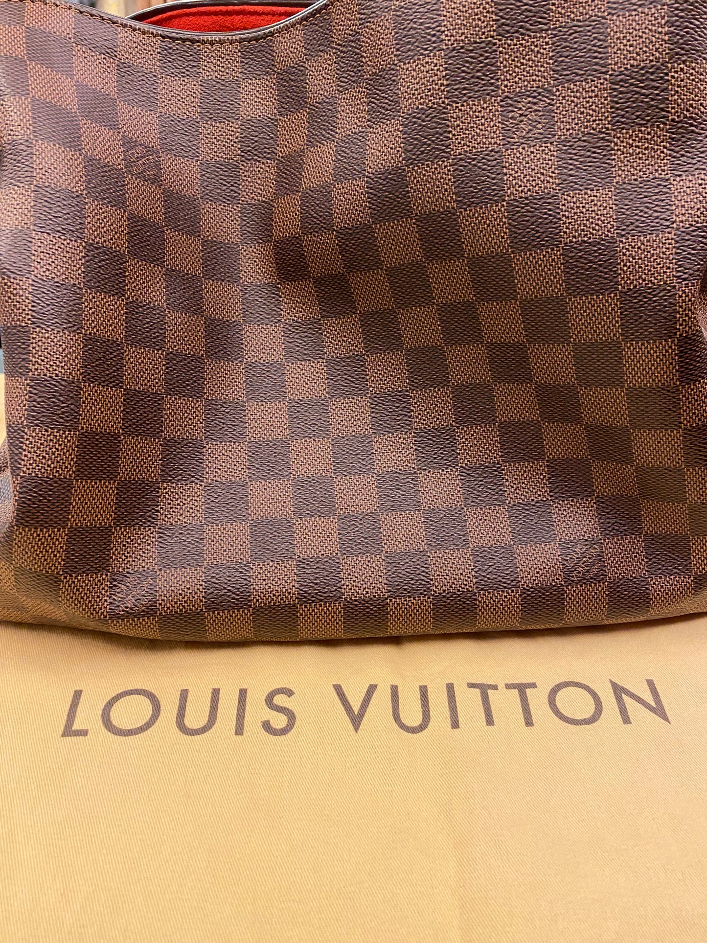 LOUIS VUITTON Reggia Hobo Damier Ebene