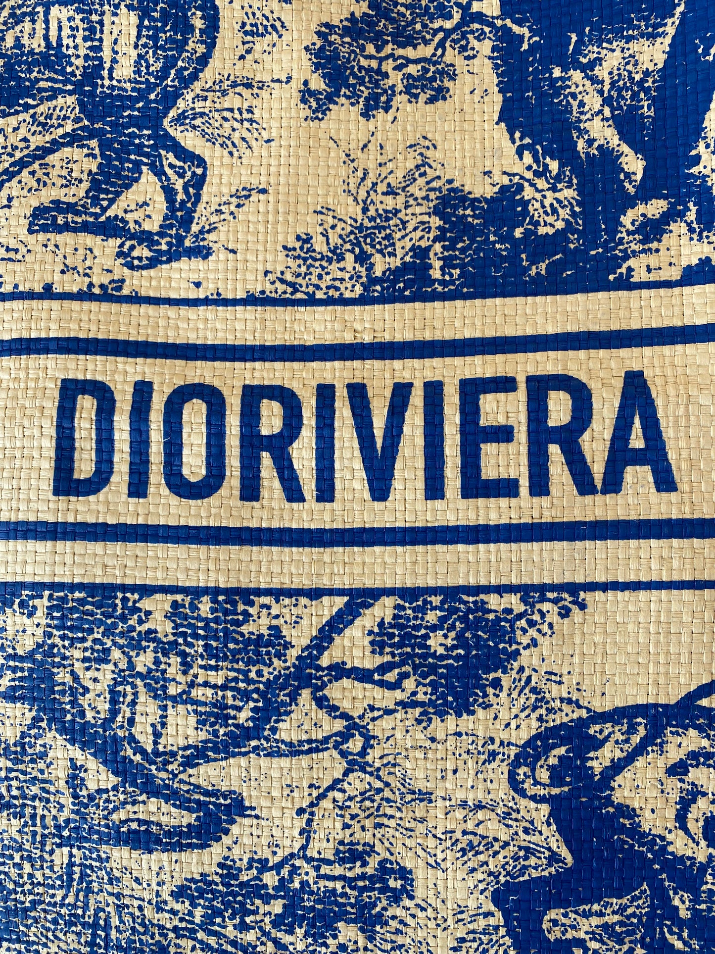 CHRISTIAN DIOR Dioriviera Tote Blue