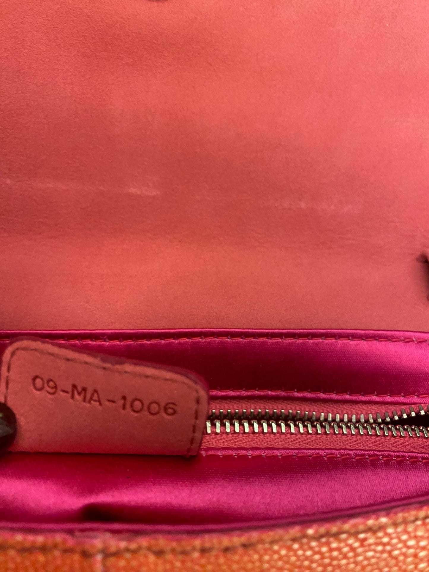 DIOR Saddle Clutch Bag Exotic Leather