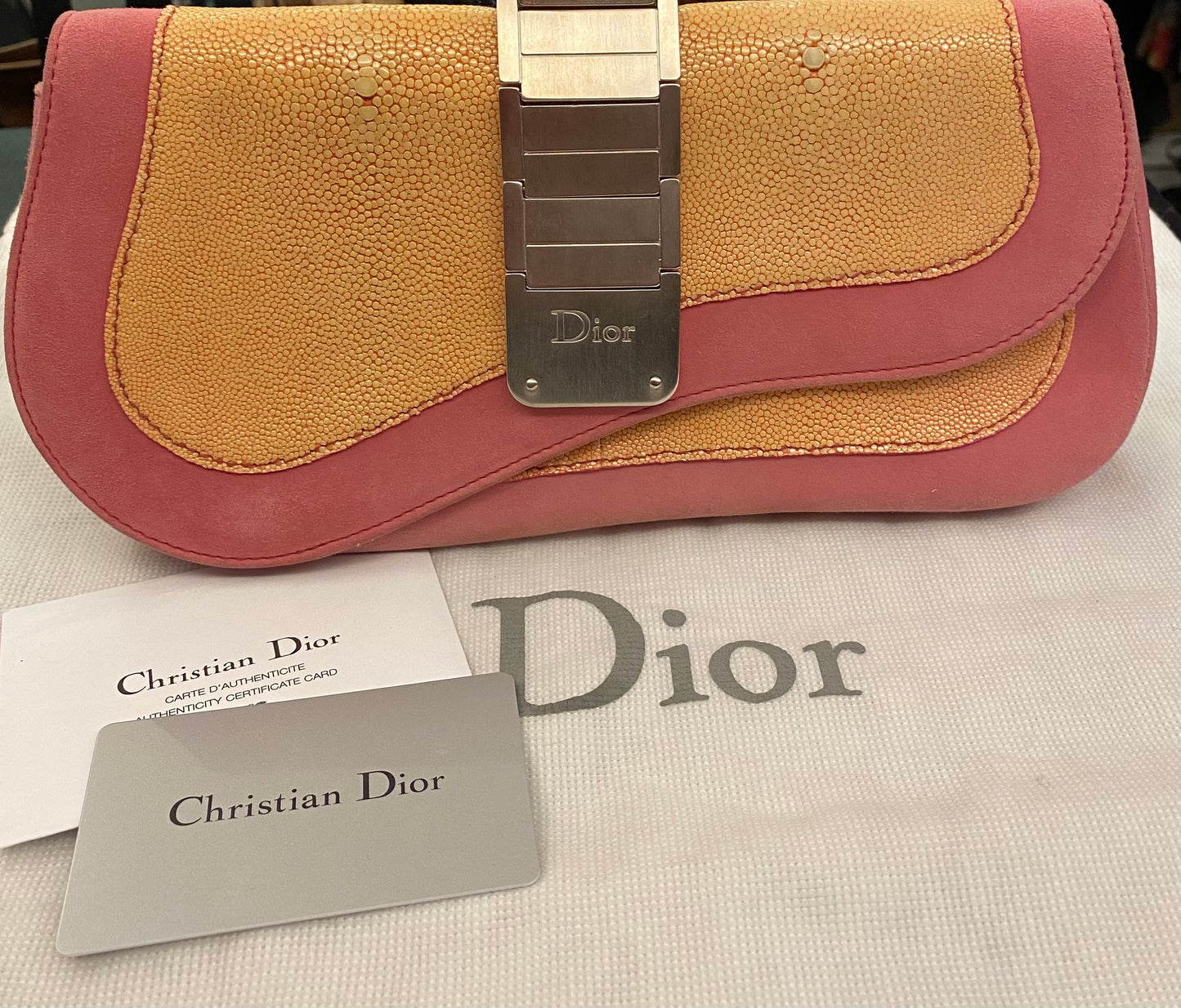 DIOR Saddle Clutch Bag Exotic Leather