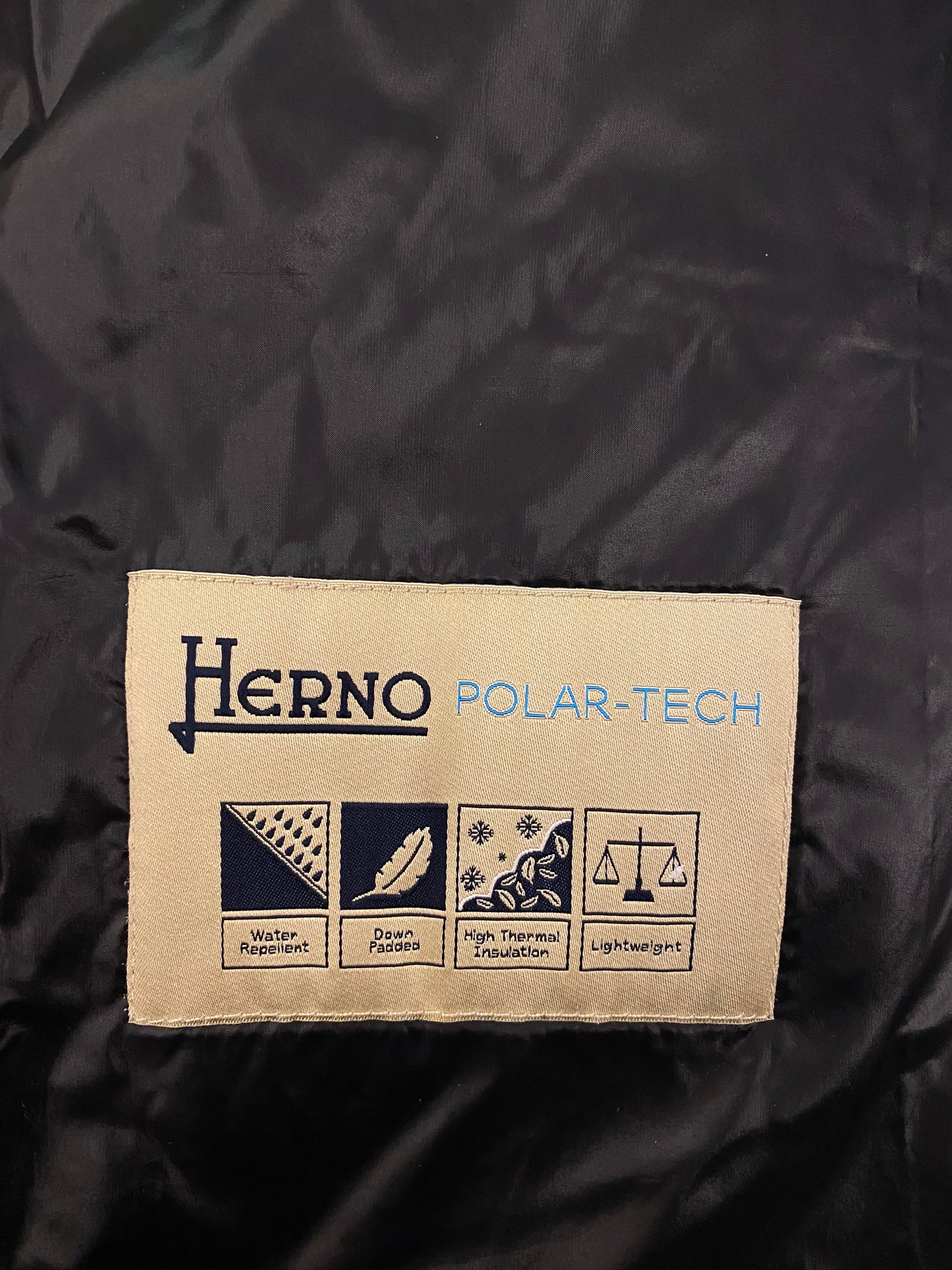 HERNO Down Jacket with Hood Size It 40