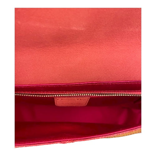 DIOR Saddle Clutch Bag Exotic Leather