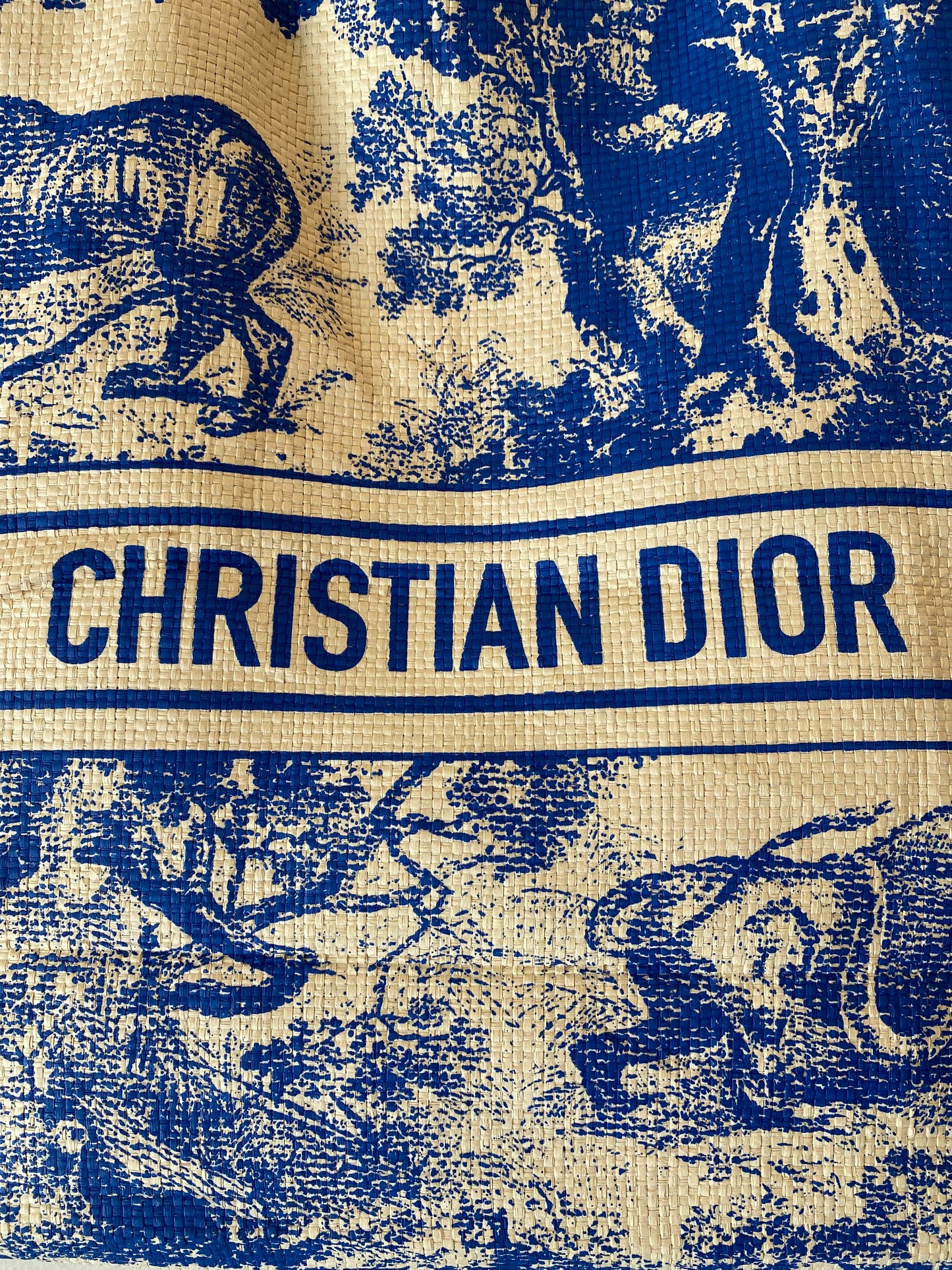CHRISTIAN DIOR Dioriviera Tote Blue