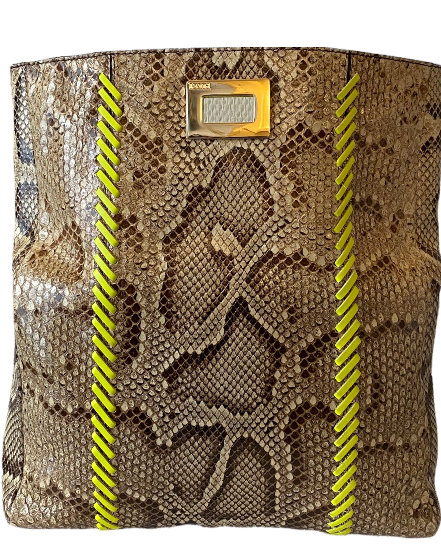 EMILIO PUCCI Python Clutch Bag