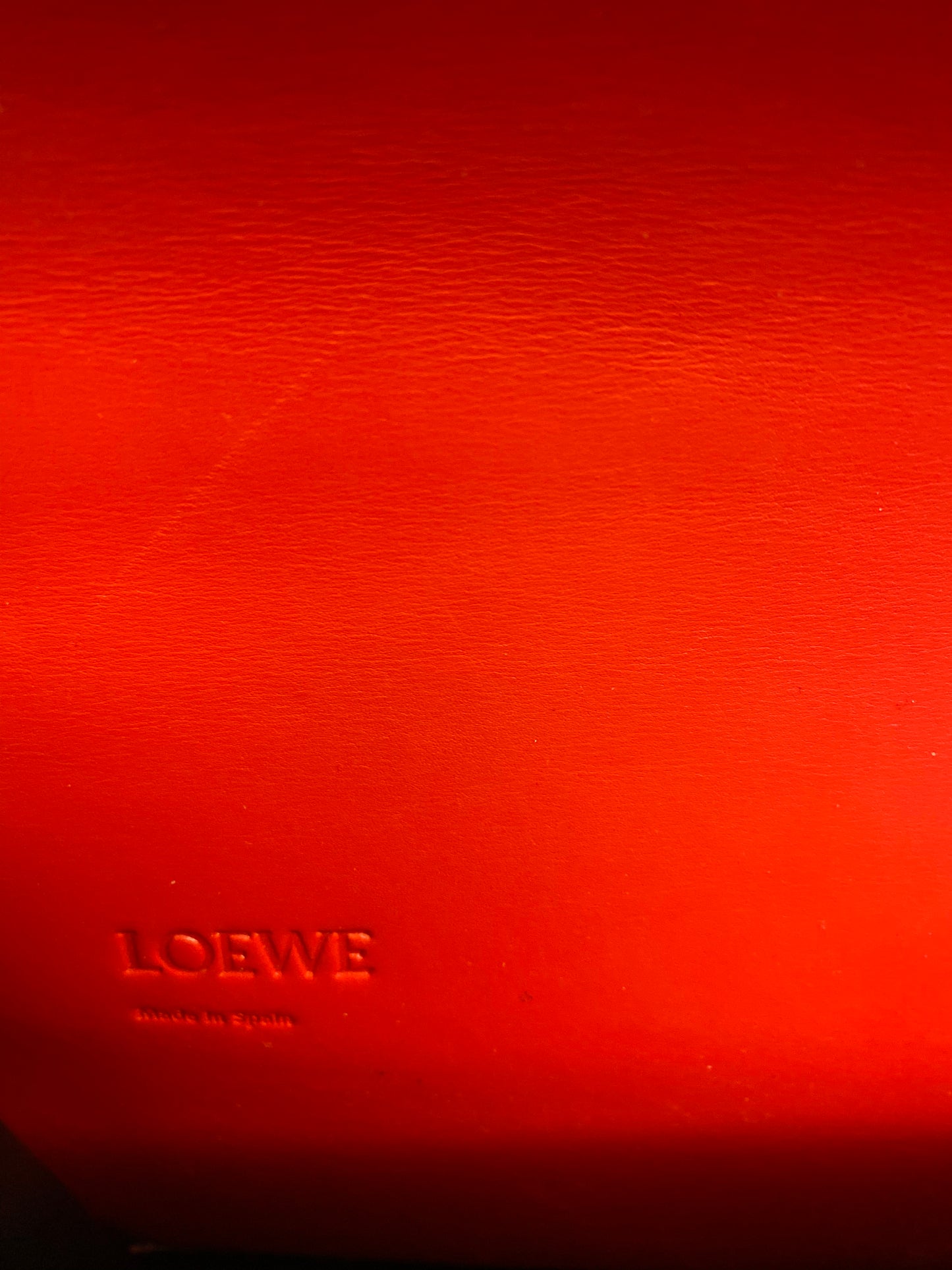 LOEWE Leather Bag